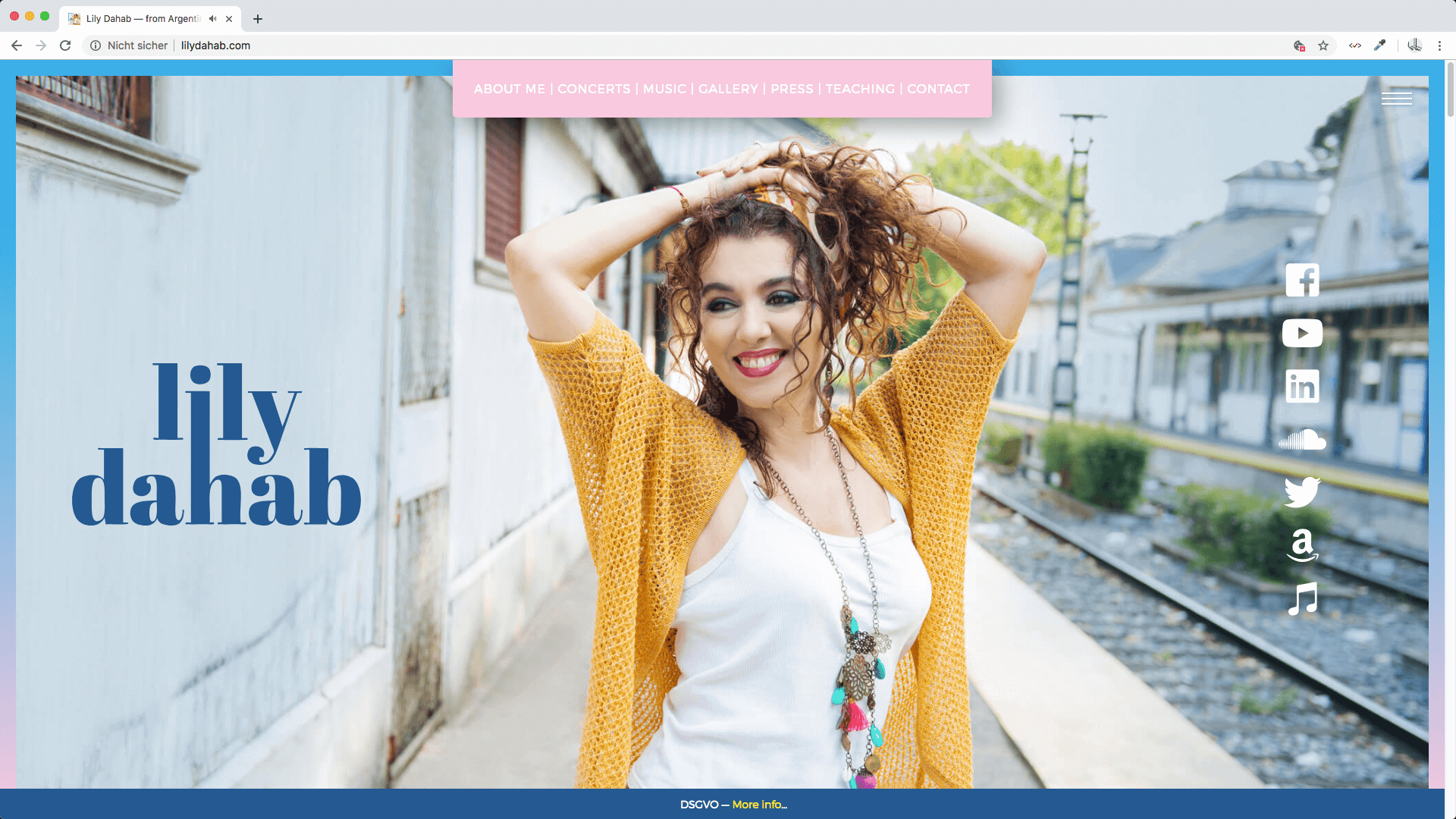 webdesign lily dahab